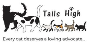 Tails High Inc Logo