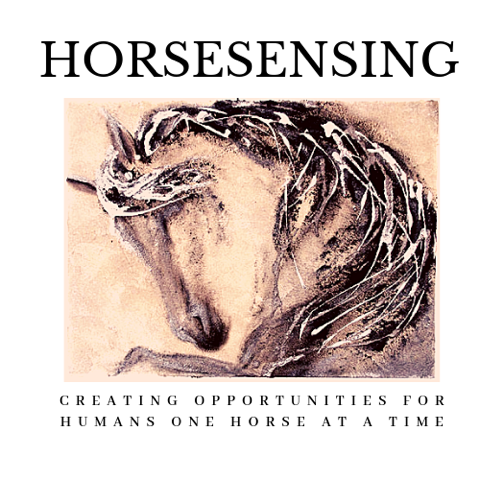 HorseSensing Logo