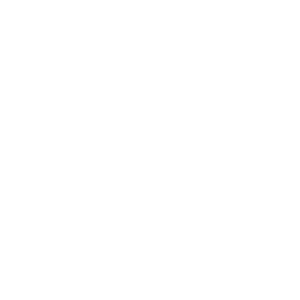 The Black History Foundation Logo