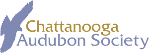 Chattanooga Audubon Society Logo
